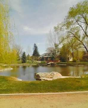 Pond-3